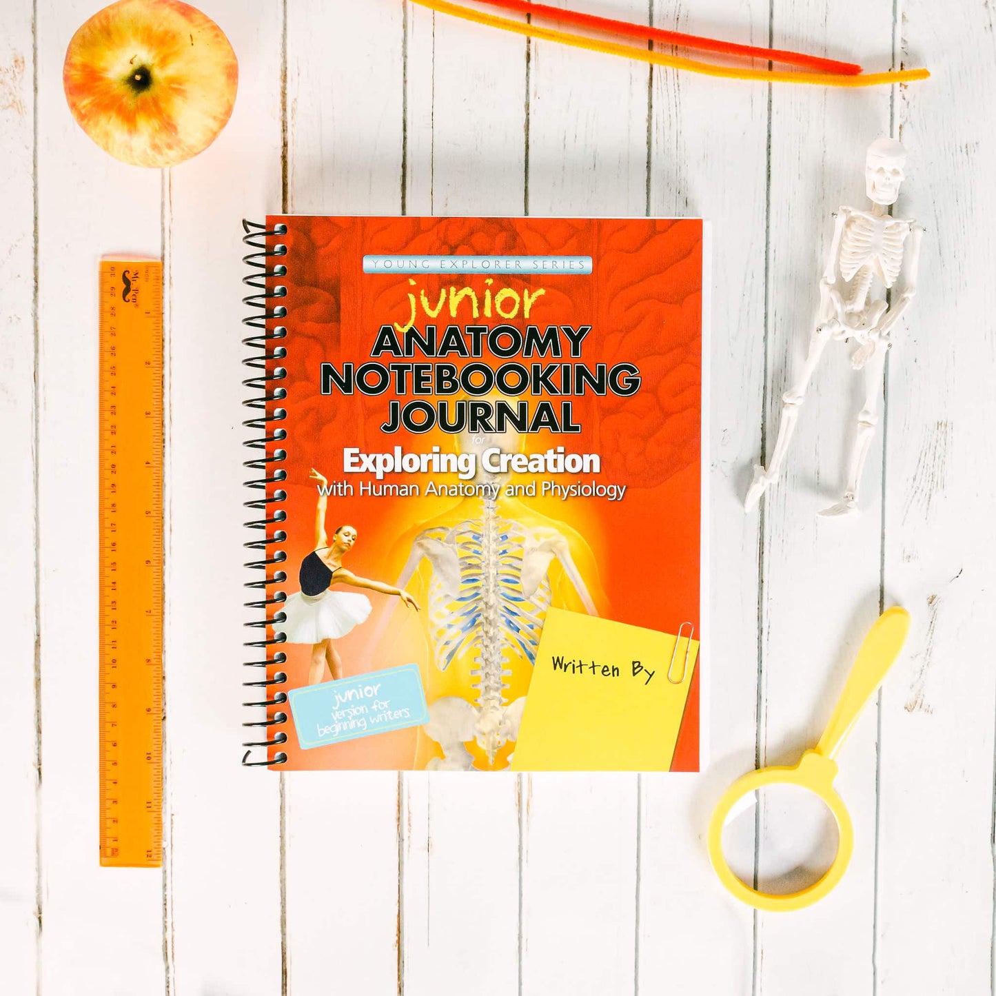 Young Explorer Series - Exploring Creation with Human Anatomy & Physiology