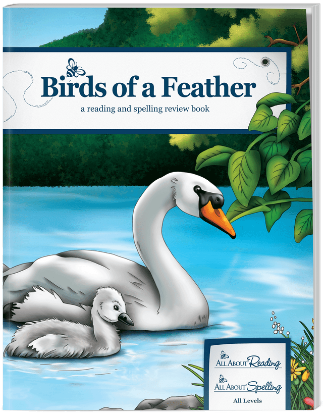 All About Learning Supplementary Review Books