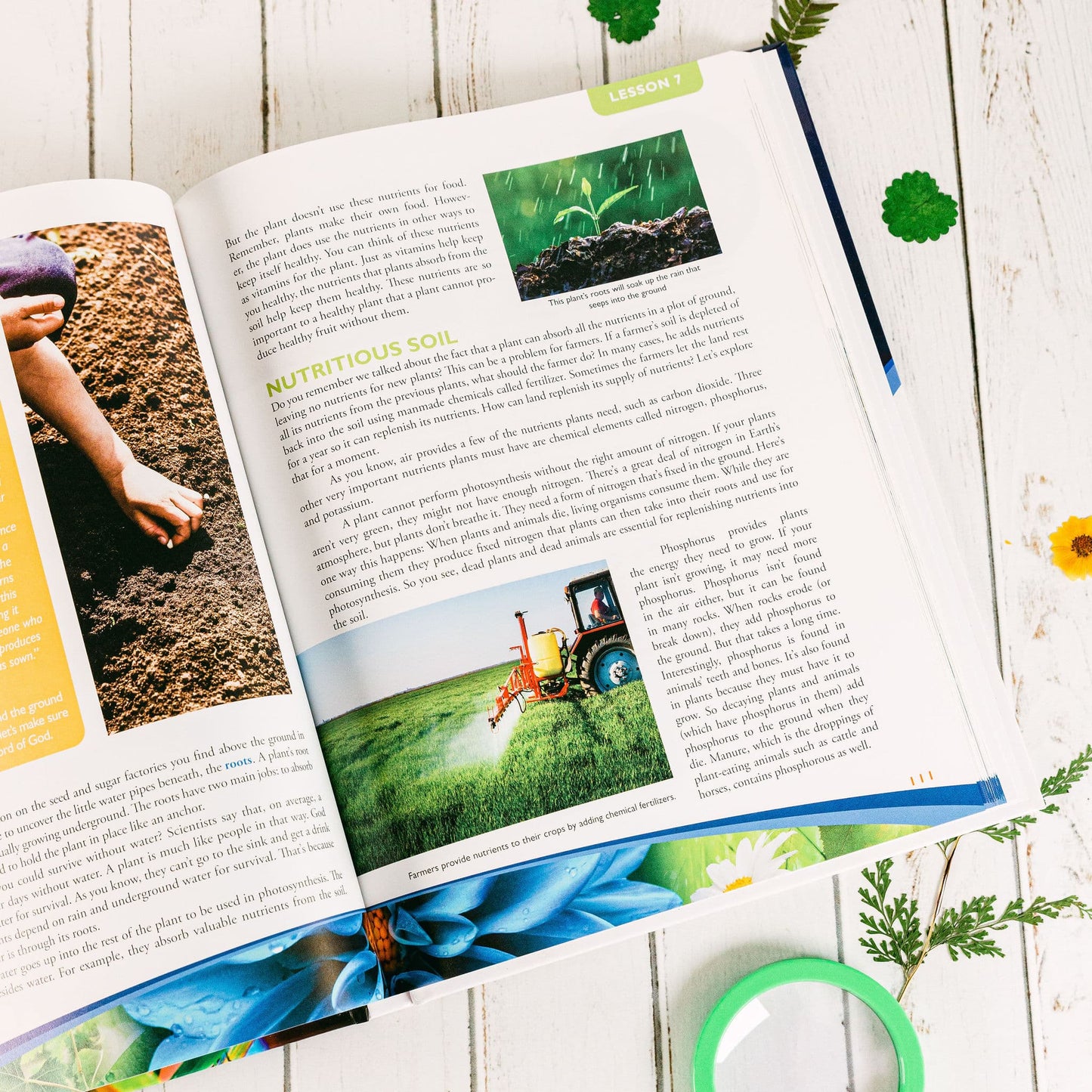 Young Explorer Series - Exploring Creation with Botany