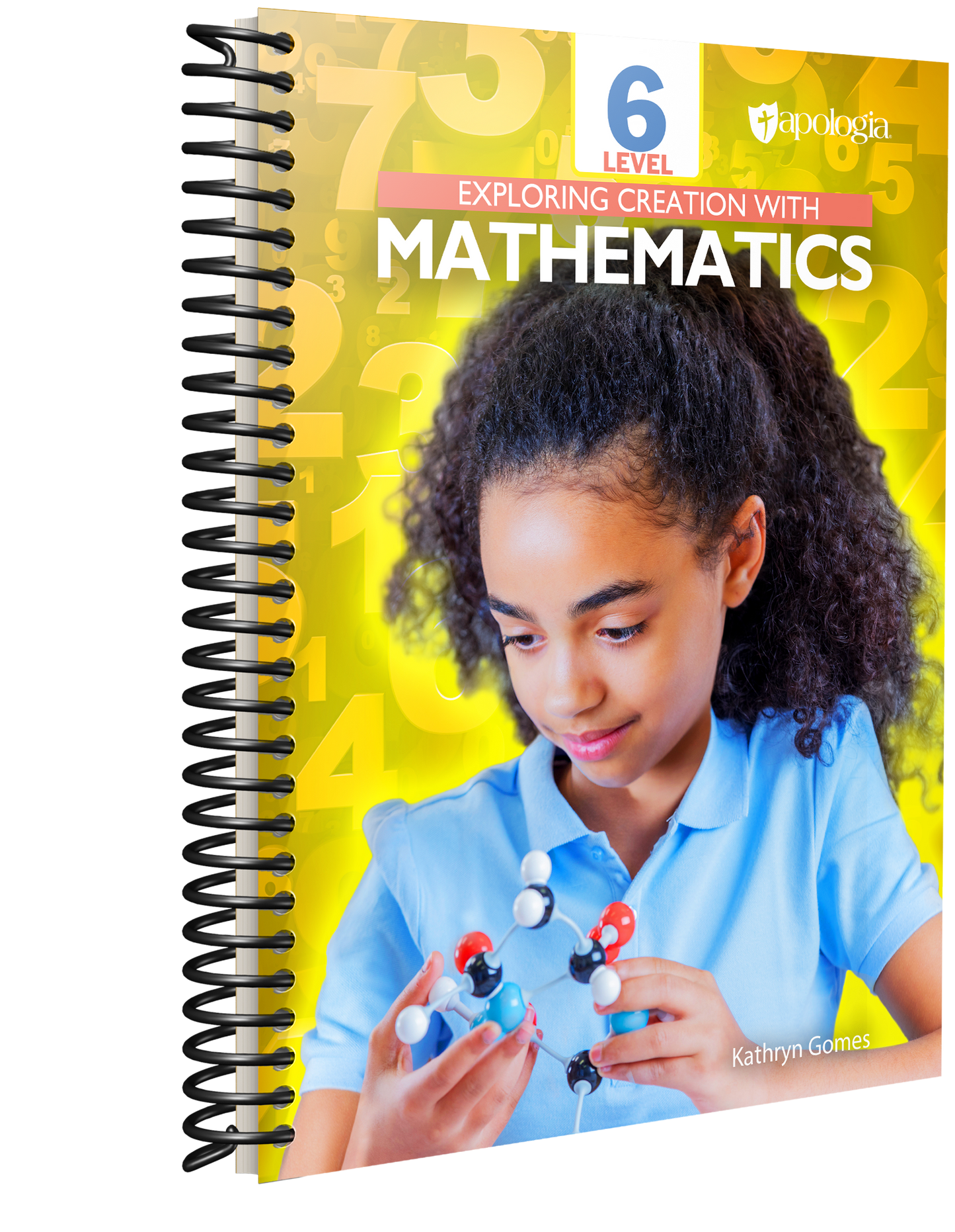 Exploring Creation with Mathematics 6