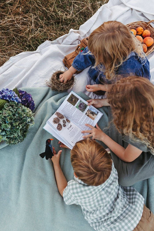The Zealand Bird Book