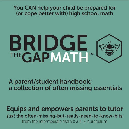 Bridge the Gap Maths – Engaging Minds