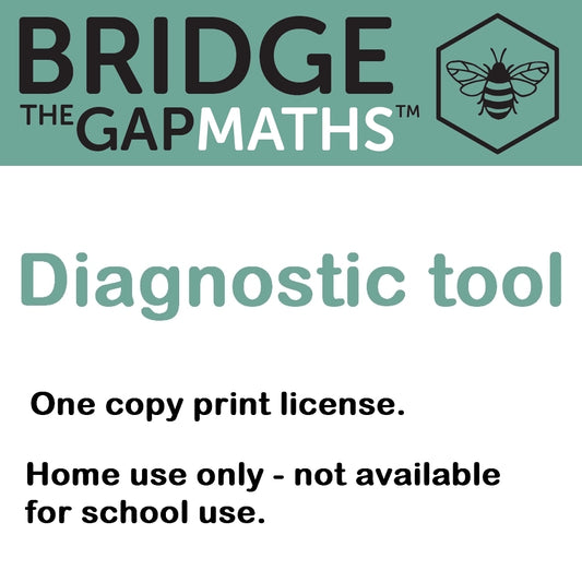 Bridge the Gap Maths™ Diagnostic Tool