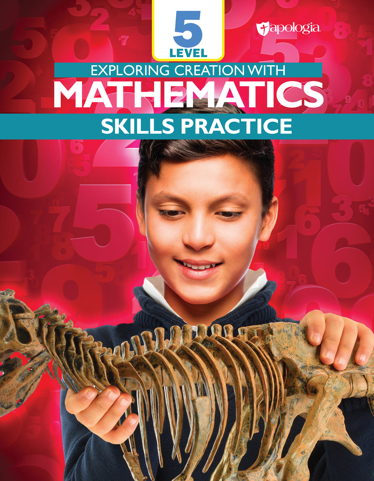 Exploring Creation with Mathematics 5