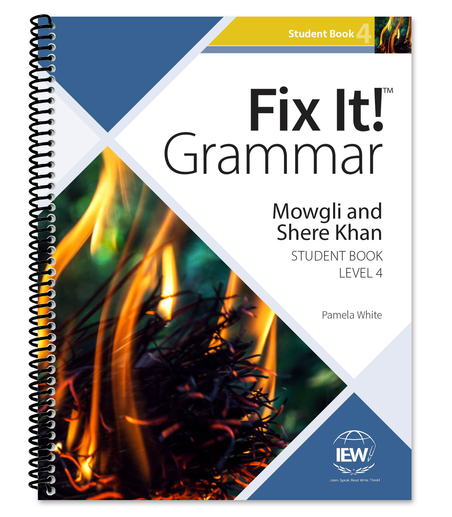 Fix It! Grammar Series