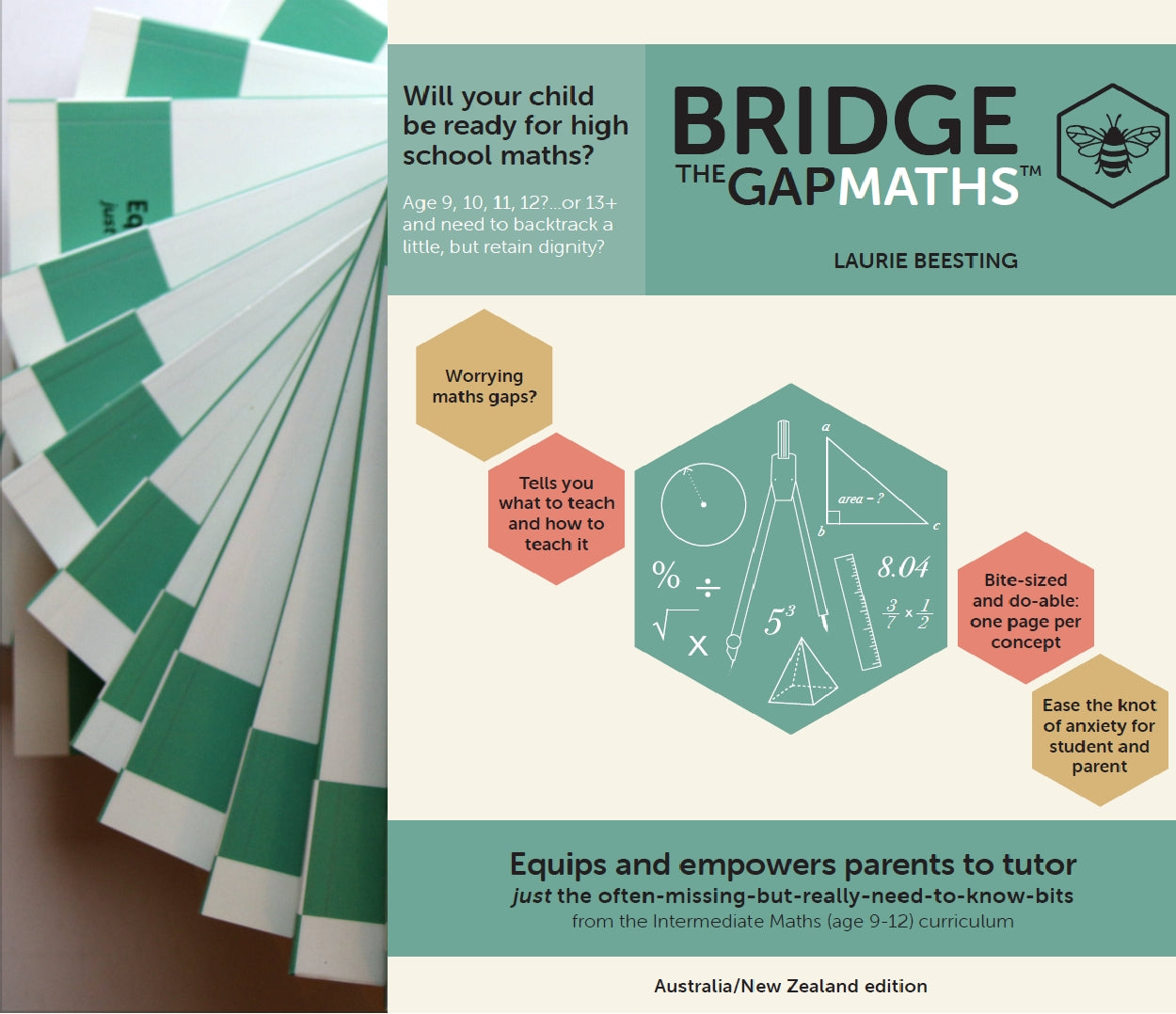 Gap Math Visual Bridge the Gap Maths™ – Engaging Minds