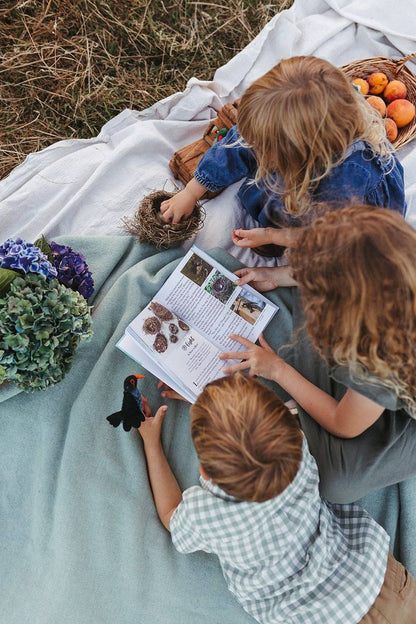 The Zealand Bird Book