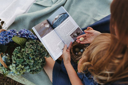 The Zealand Bird Book