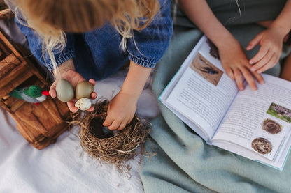 The Zealand Bird Book