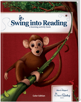 Level 3 All About Reading Individual Components