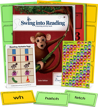 Level 3 All About Reading Individual Components