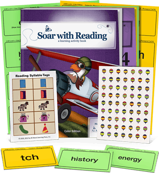 Level 4 All About Reading Individual products
